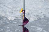 DSC_0099.JPG